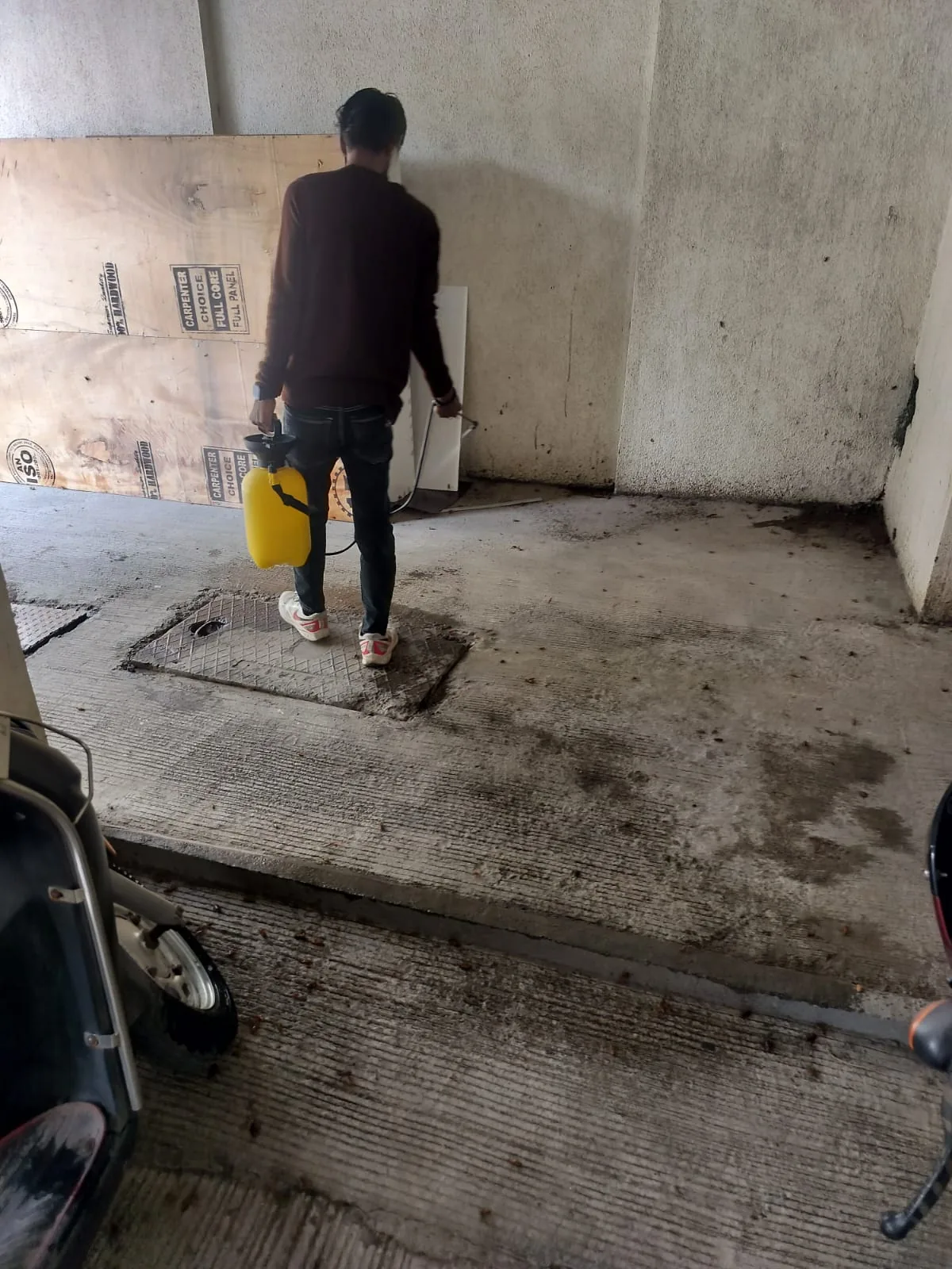 Real pest-control treatment in basement