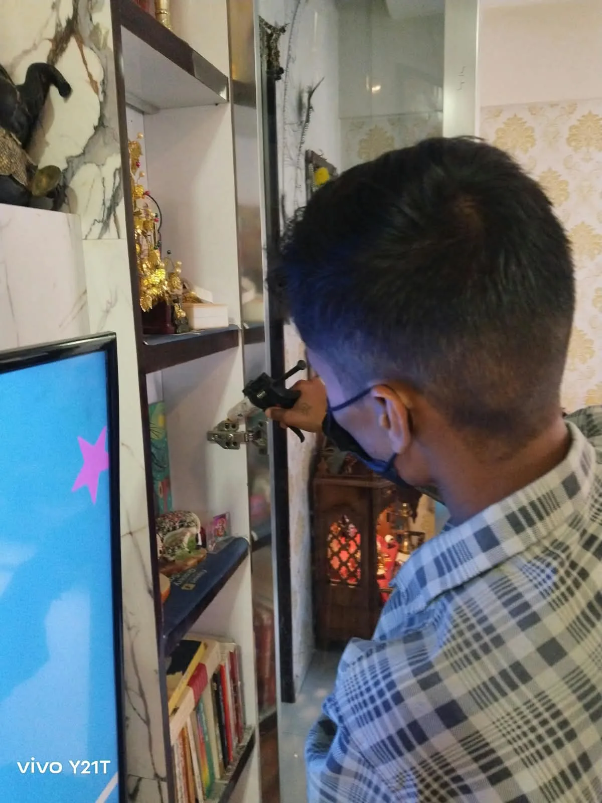Real pest-control treatment in cabinet